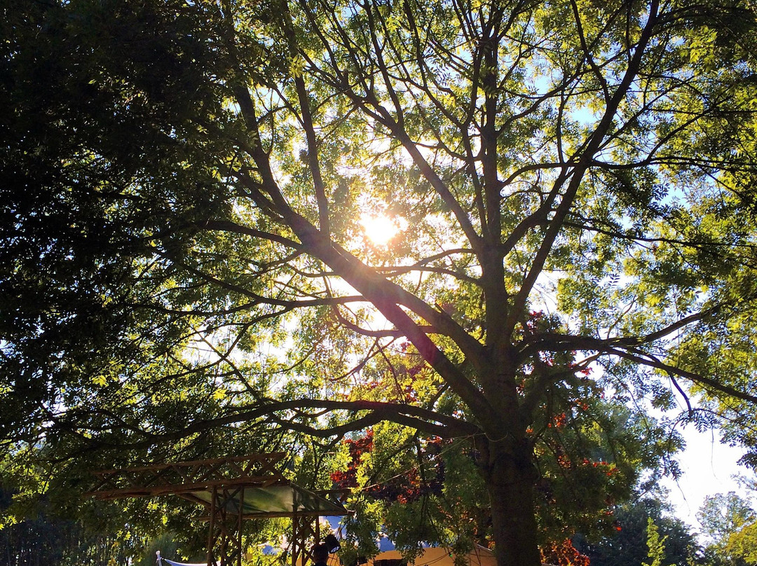 Vroesenpark-鹿特丹必去景点