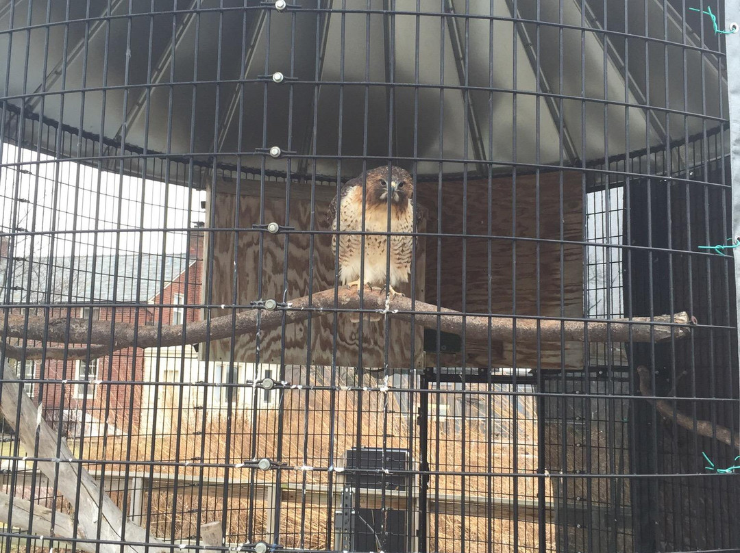 Wildlife Discovery Center-Lake Forest必去景点