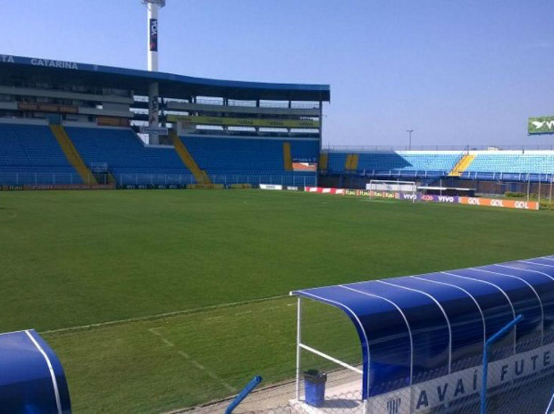 Estádio Aderbal Ramos da Silva - Ressacada景点图片