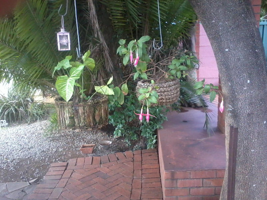 Number Nine Bed & Breakfast主图