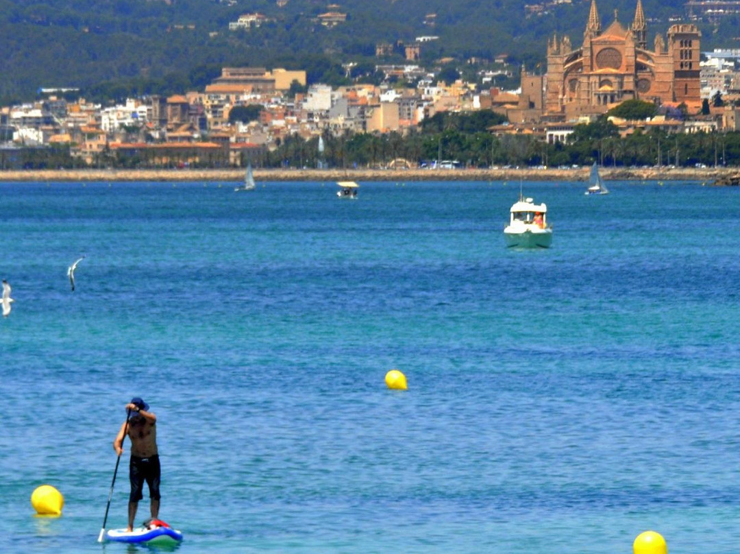 La Mosca Club de Surf-马洛卡帕尔马必去景点