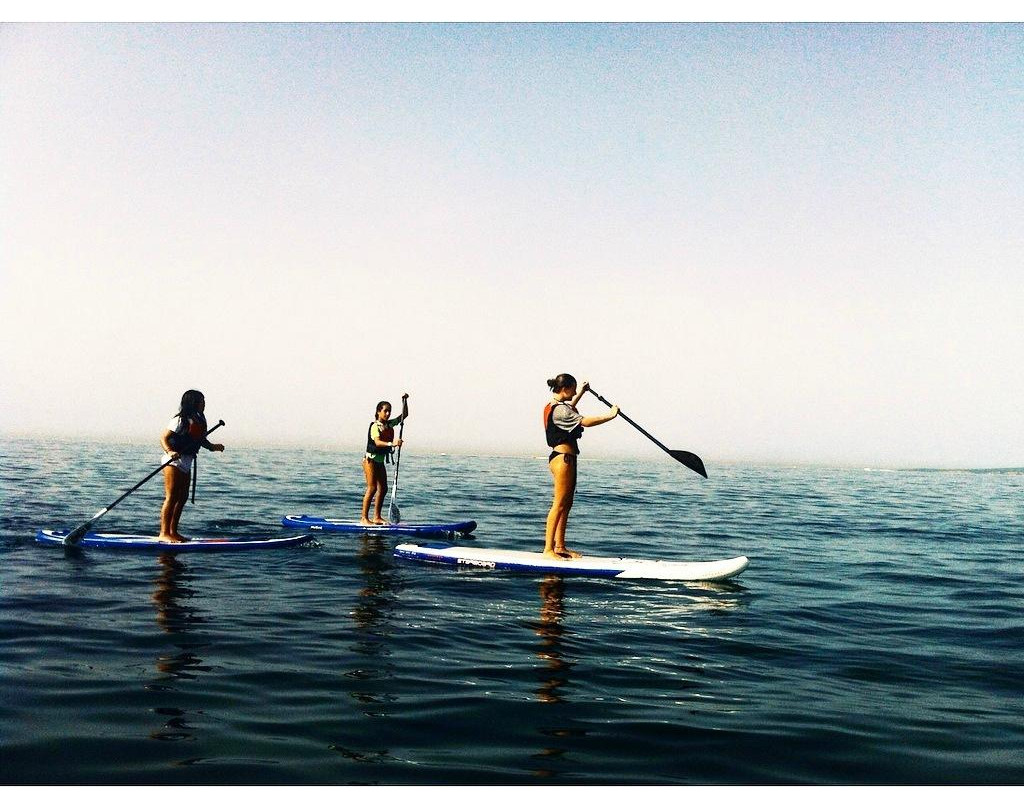 La Mosca Club de Surf-马洛卡帕尔马必去景点