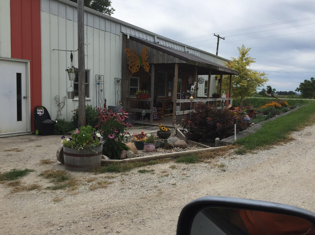 Loess Hills Lavender Farm-Missouri Valley必去景点