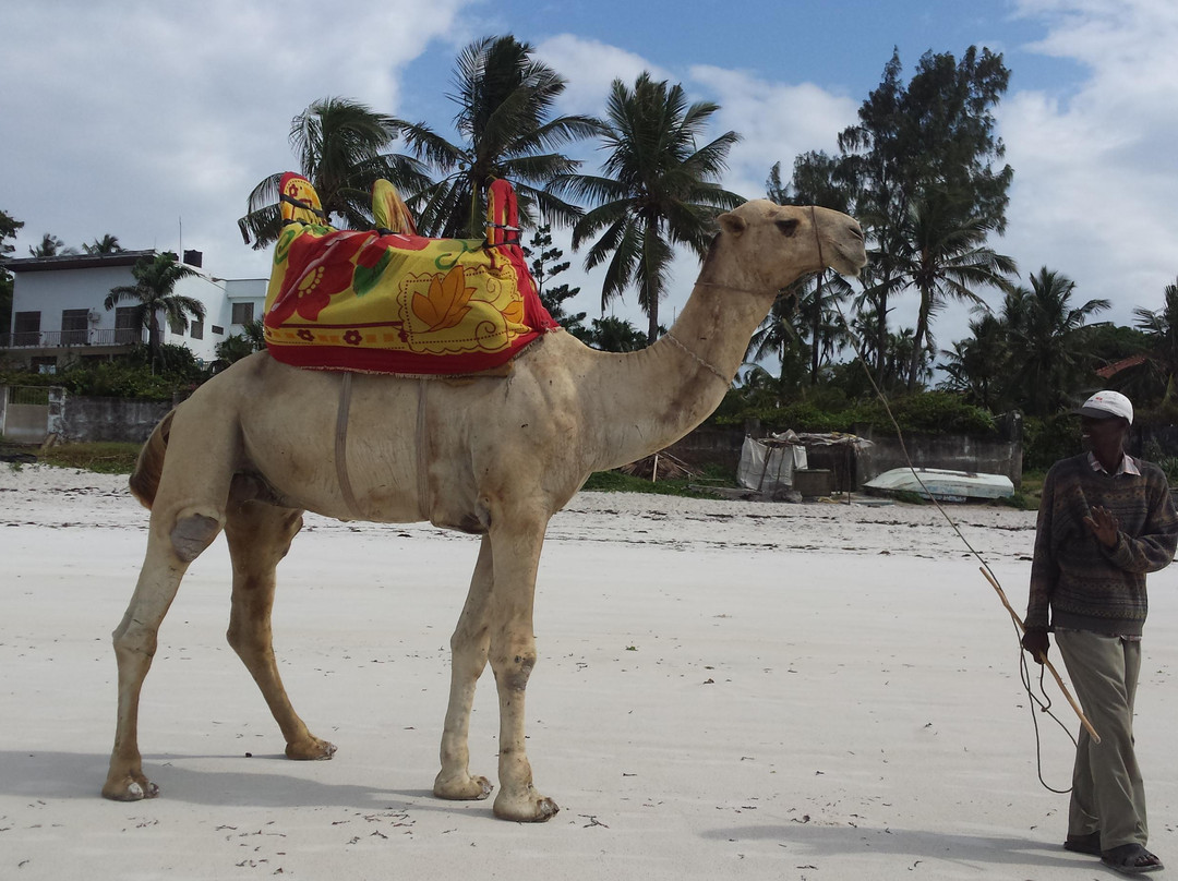 Nyali Beach-蒙巴萨必去景点