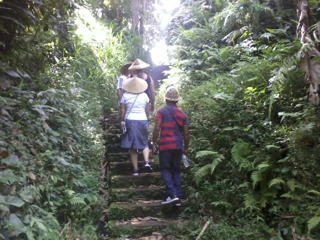 Herb Walk-邦利必去景点