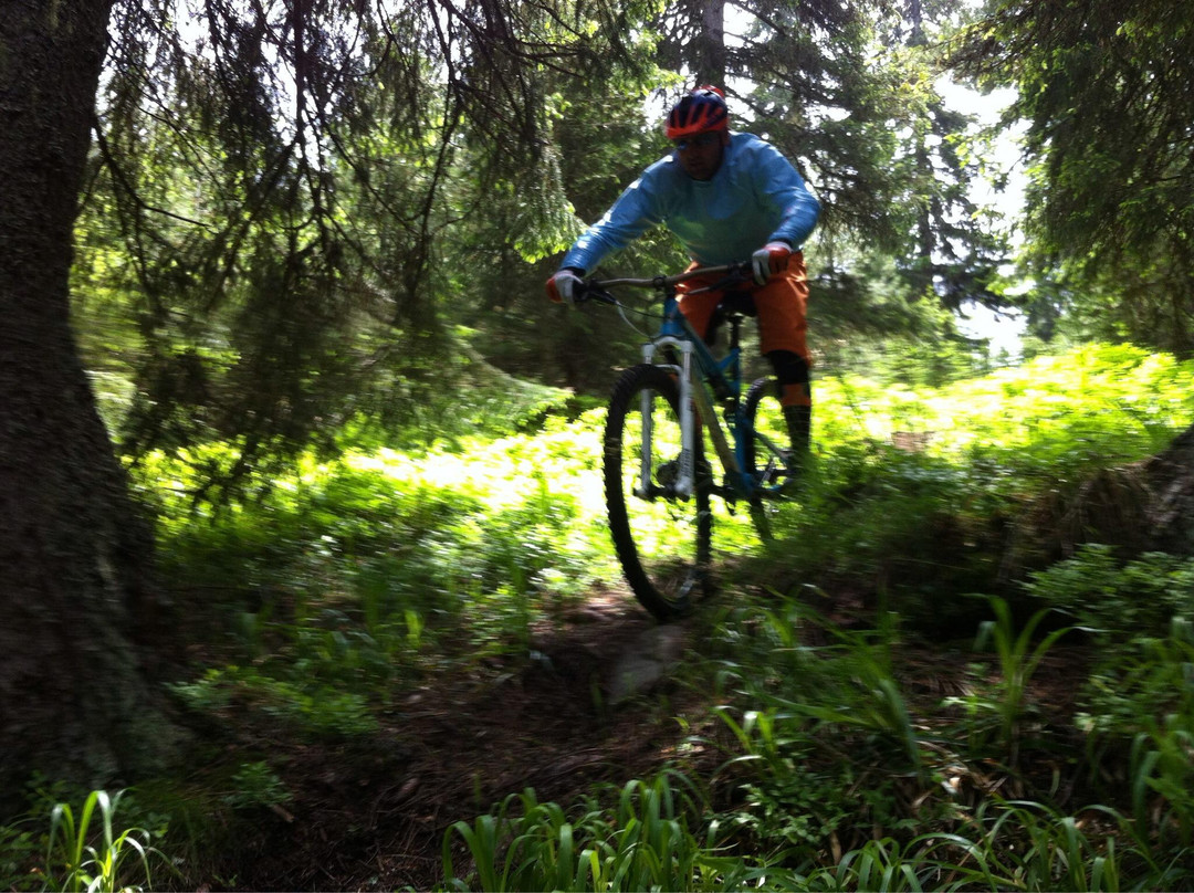 Mountain Masters Borovets - Day Tours-波罗维兹必去景点