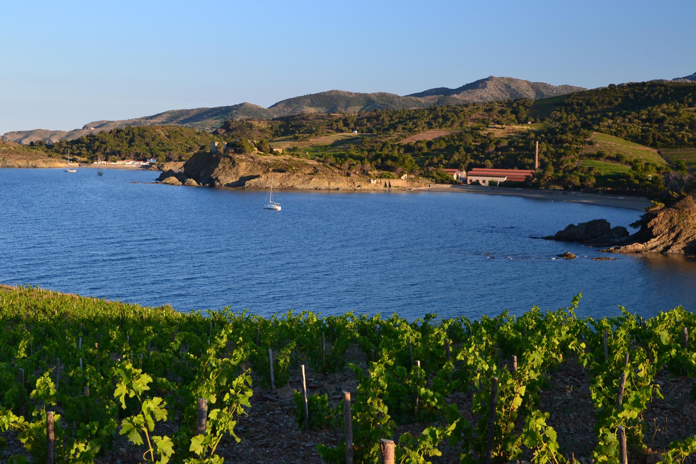 Domaine de Valcros-客卧