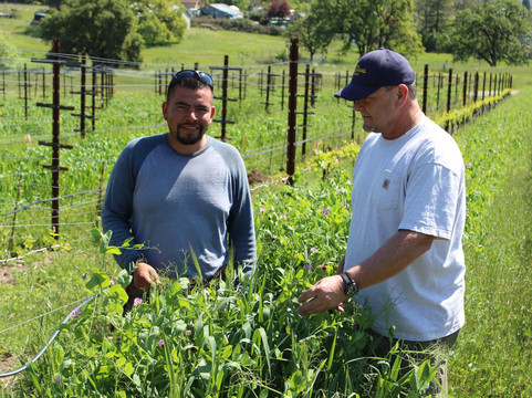 Sanglier Cellars-Fulton必去景点
