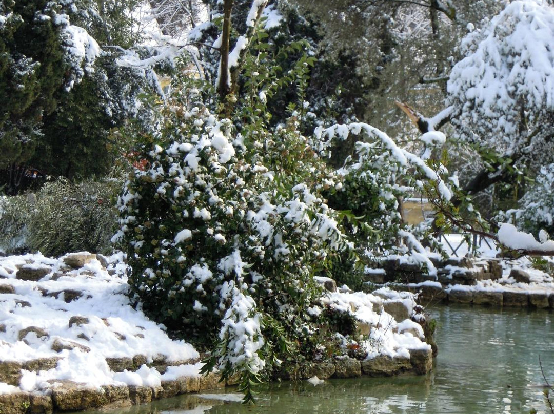 Parco Nemorense o Virgiliano-罗马必去景点