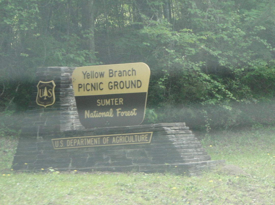 Yellow Branch Falls景点图片