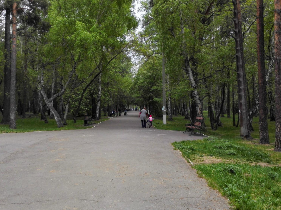 Molodyozhnaya Wood-伊尔库茨克必去景点