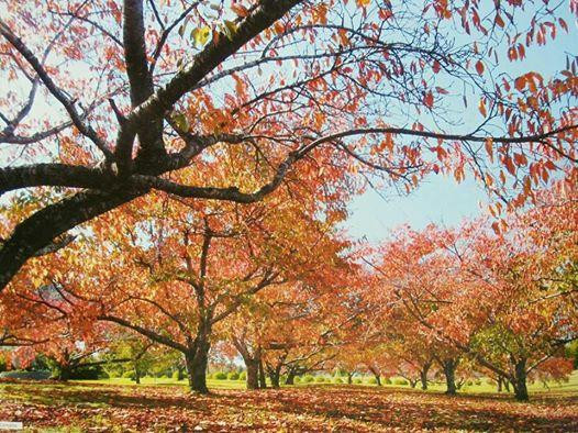 Hotel Pousada Serra Verde主图