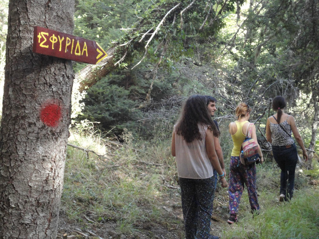 The Menalon Trail景点图片