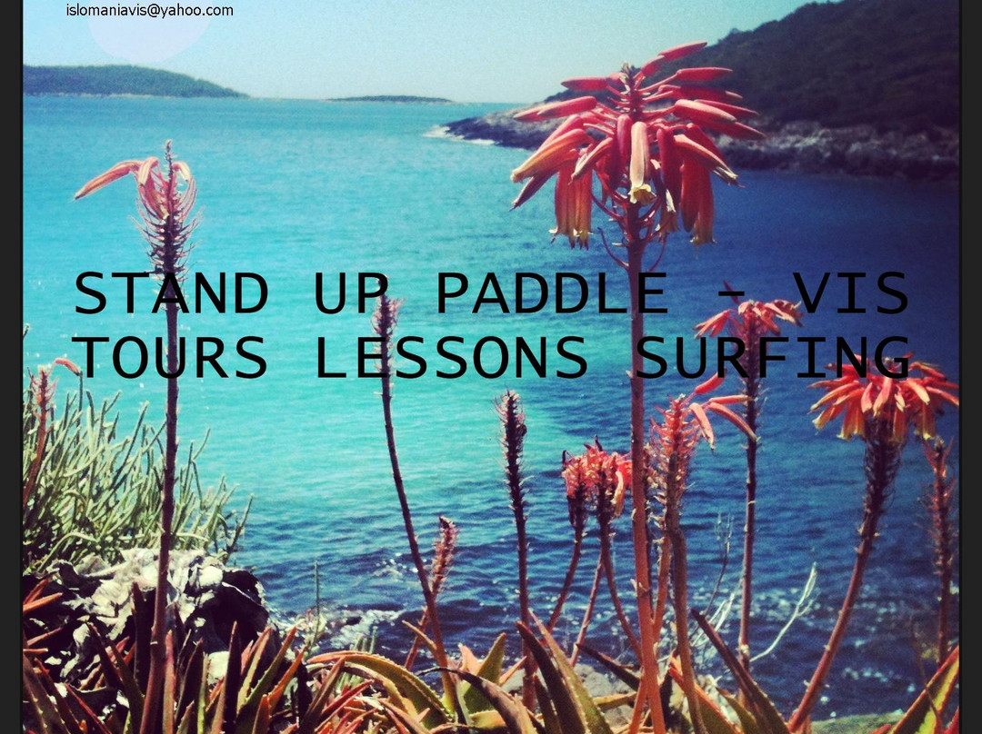 Stand Up Paddle Vis景点图片