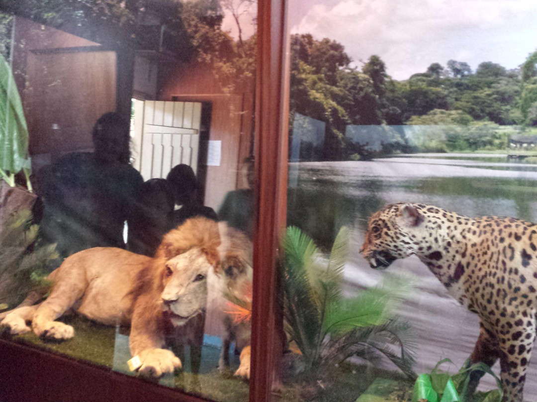 Zoology Museum-戈亚尼亚必去景点