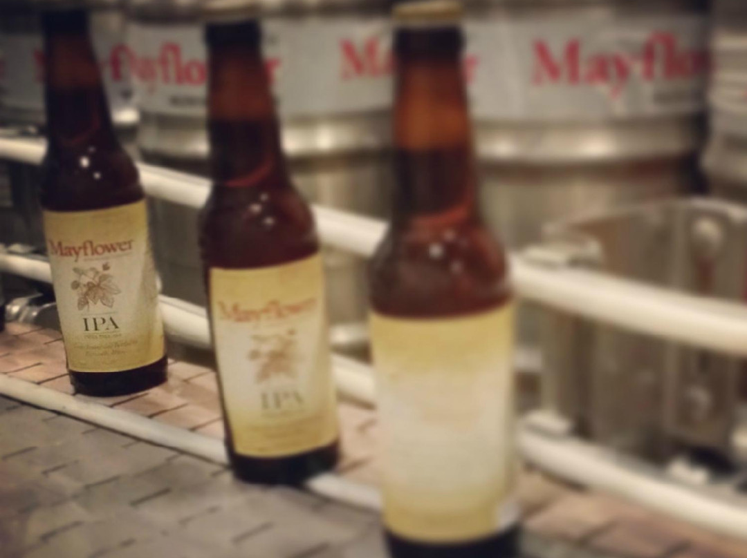 Mayflower Brewing Company-普利茅斯必去景点