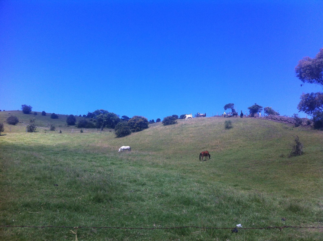 Parque La Montana del Oso-Chia必去景点