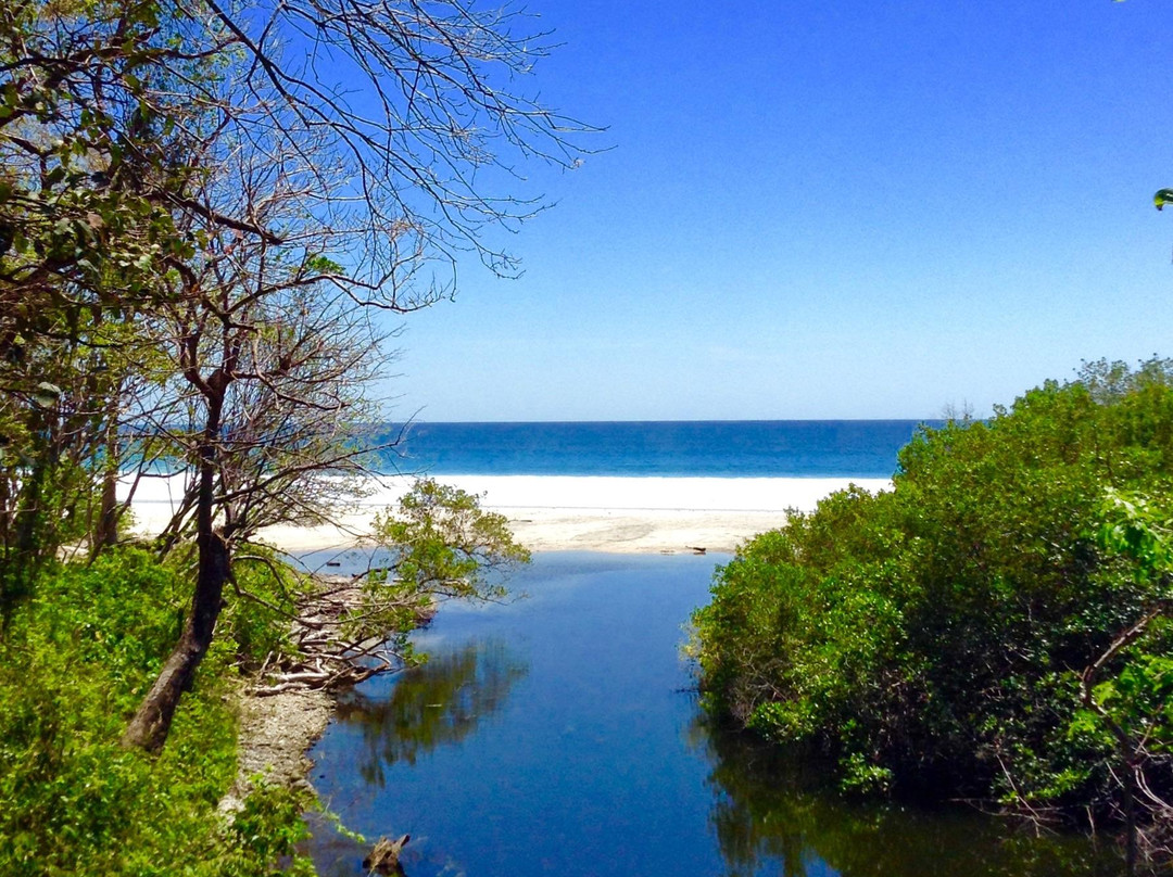 Barrigona Beach景点图片