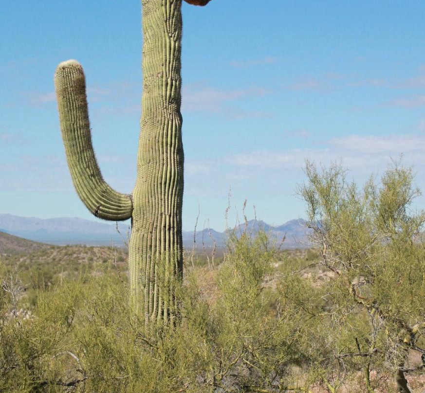 Effus Ranch-Wickenburg必去景点