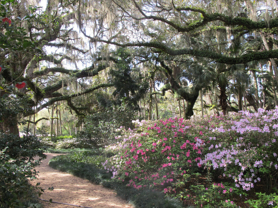 Washington Oaks Gardens State Park-棕榈海岸必去景点