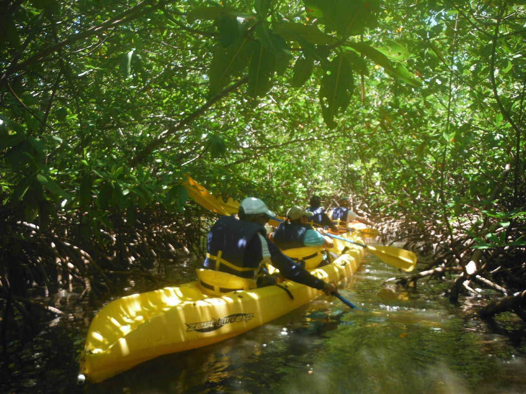 Island Kayaking Adventure-Ceiba必去景点