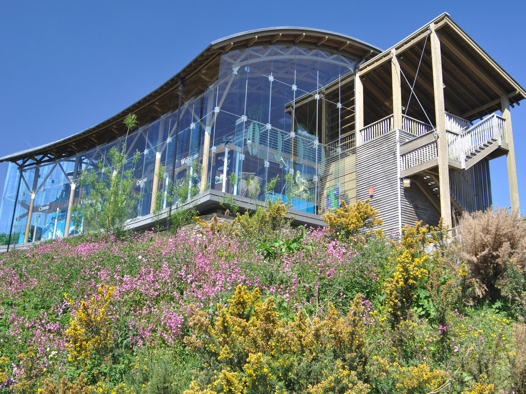 Welsh Wildlife Centre景点图片