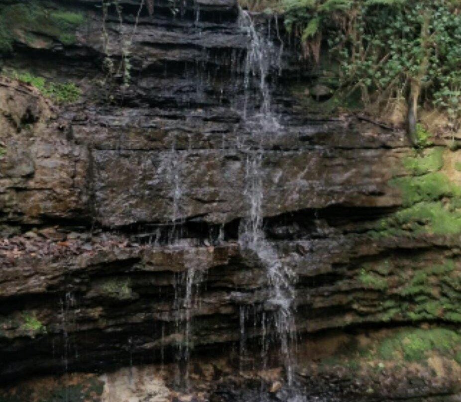 Old Roar Gill-海斯廷斯必去景点