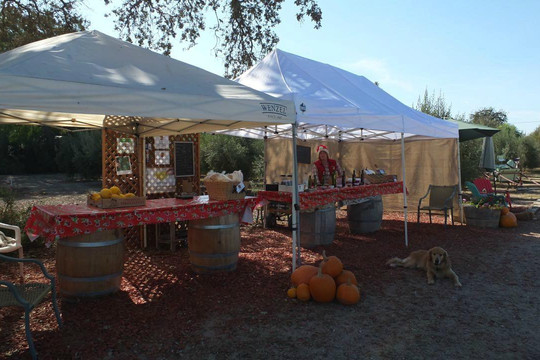 Rancho Olivos-圣伊内斯必去景点