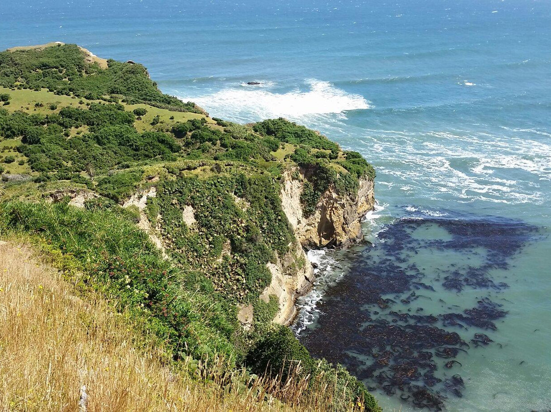 Punta Pirulil景点图片