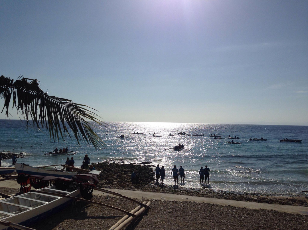 文图拉潜水中心-岛印必去景点