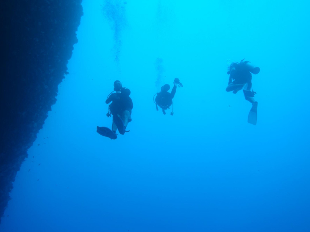 Diveaway Fiji景点图片
