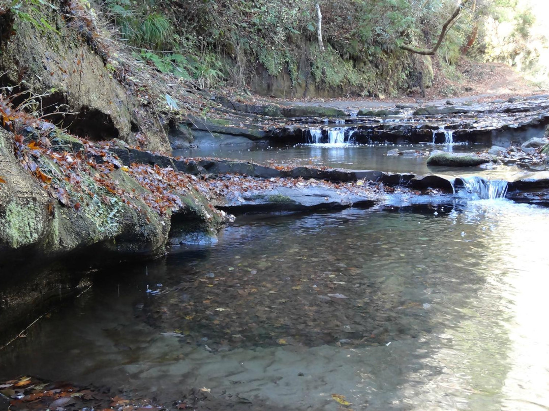 市原市旅游攻略图片
