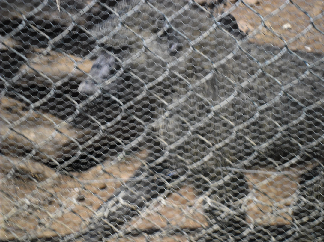 Good Samaritan Inn主图