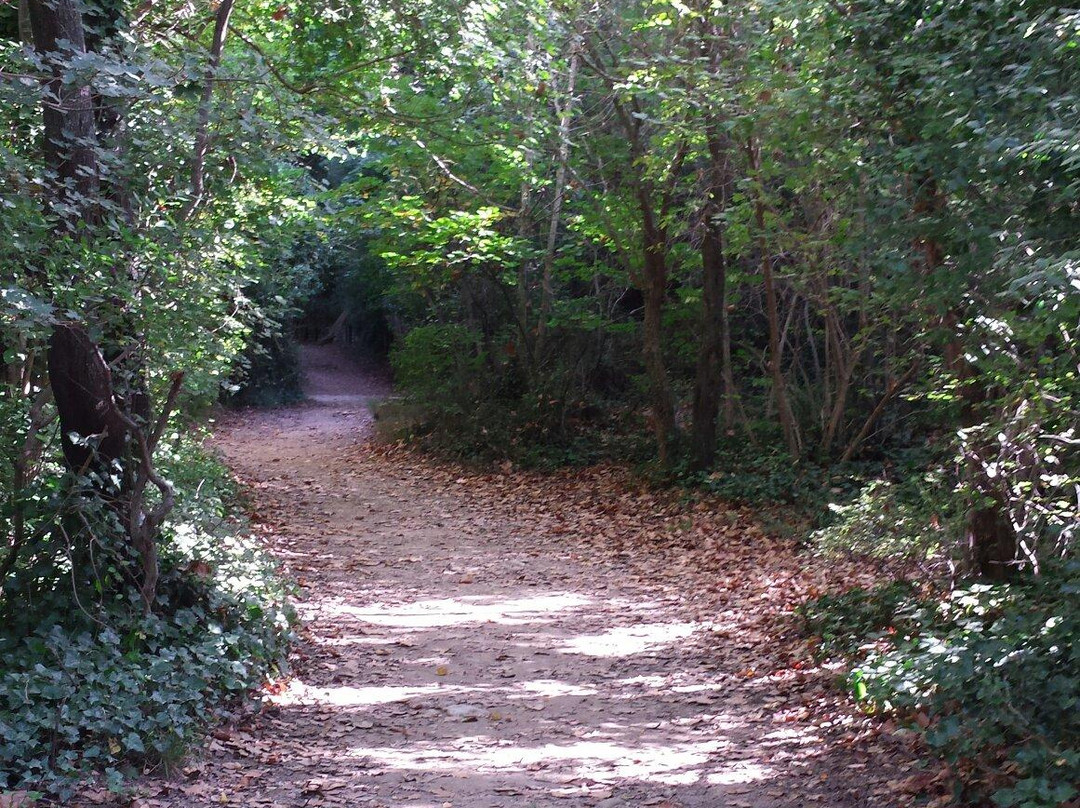 Parc de Saint-Pons景点图片