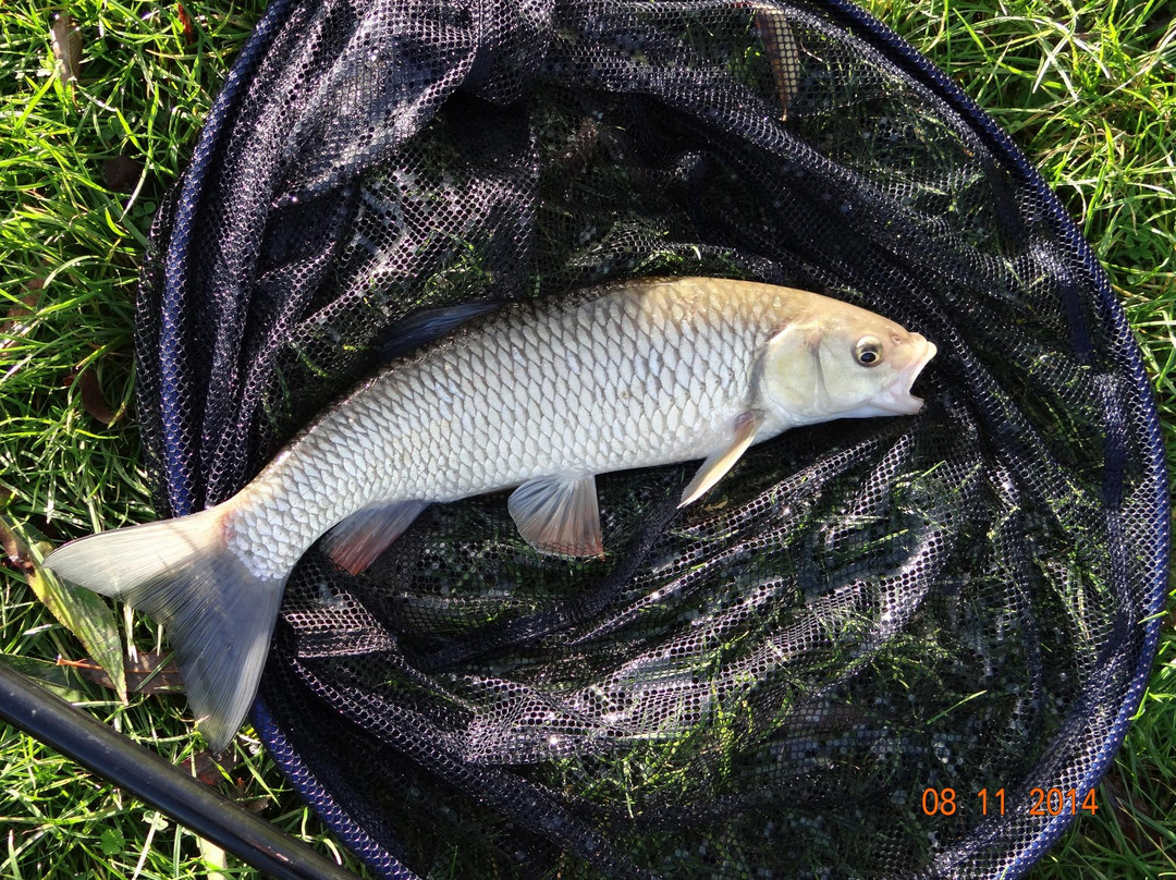 Bax Farm Fishery-锡廷伯恩必去景点