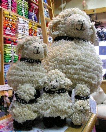 Remember Me Chile-巴拉斯港必去景点