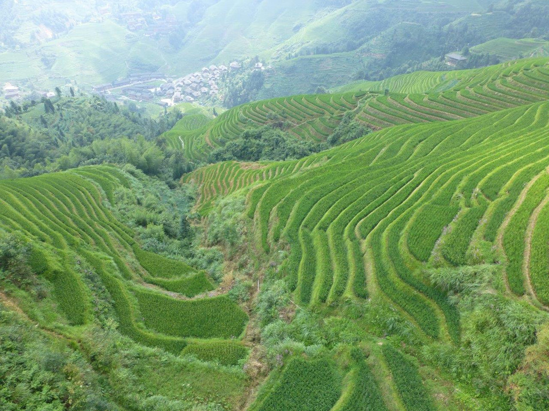 龙胜梯田景点图片