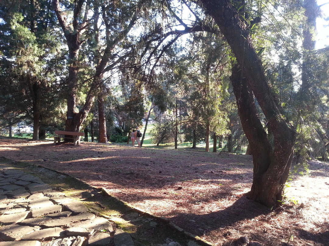 Jardim Botânico-阿雷格里港必去景点