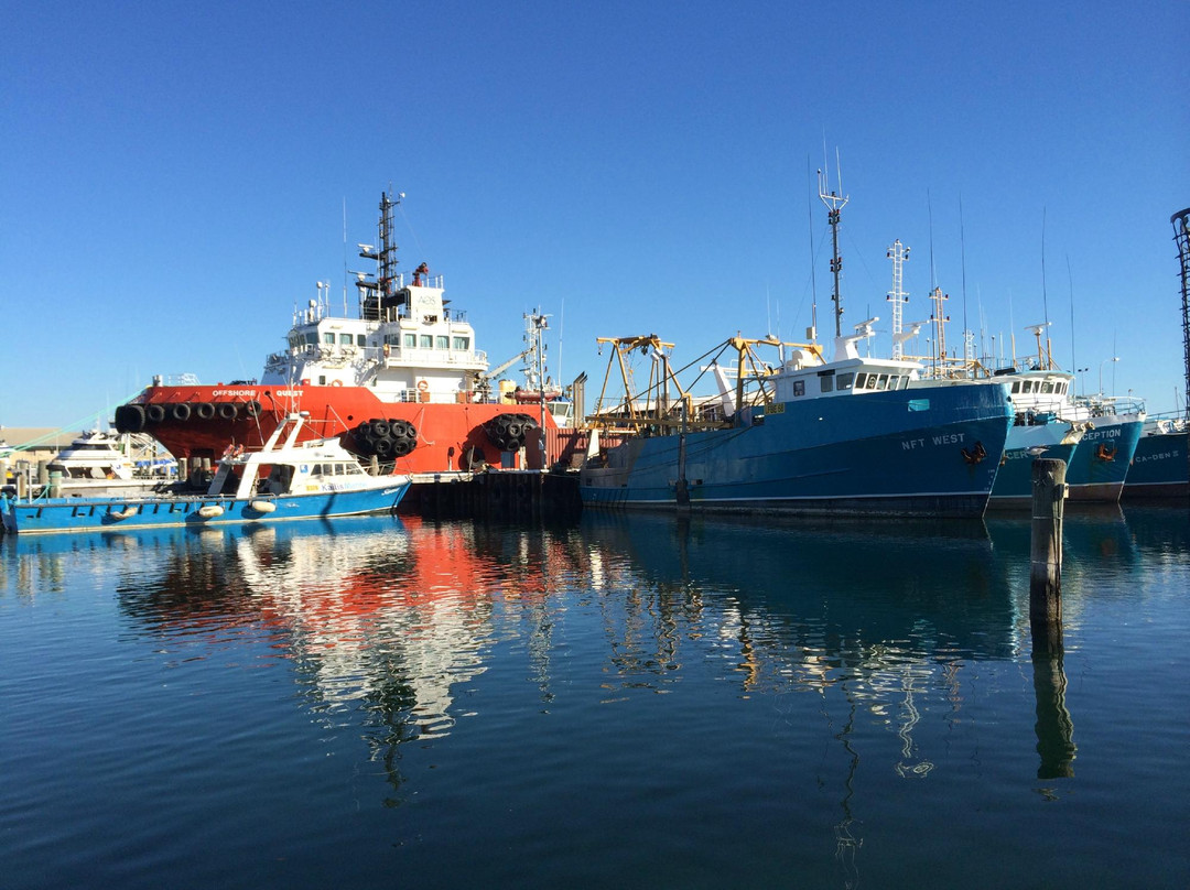 Fremantle Fishing Boat Harbour景点图片