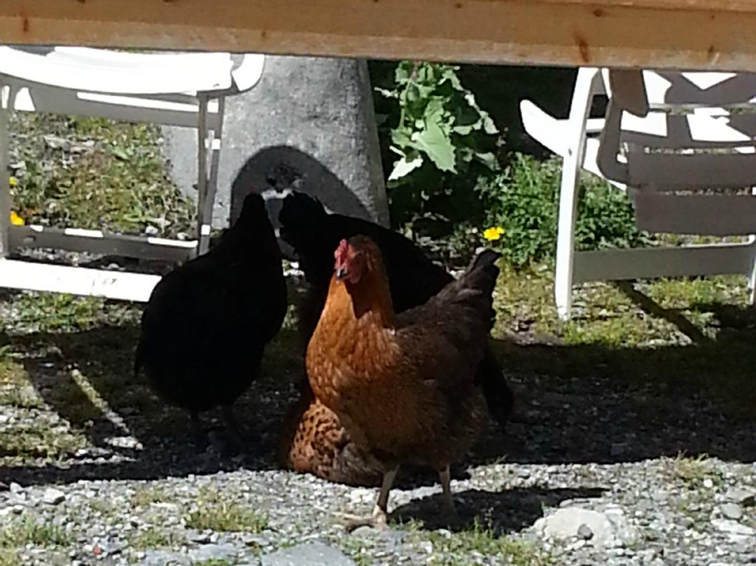 Refuge de Peclet-Polset主图