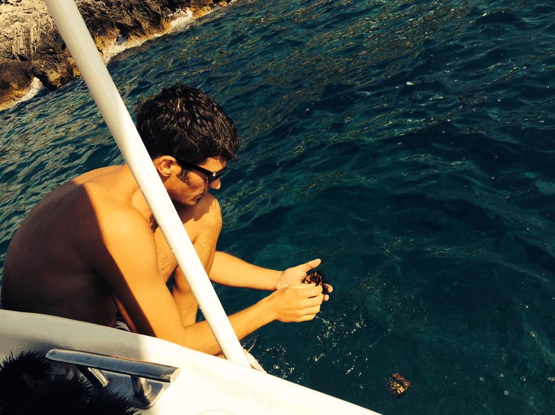 Fish & Fun - Korcula-科尔丘拉镇必去景点