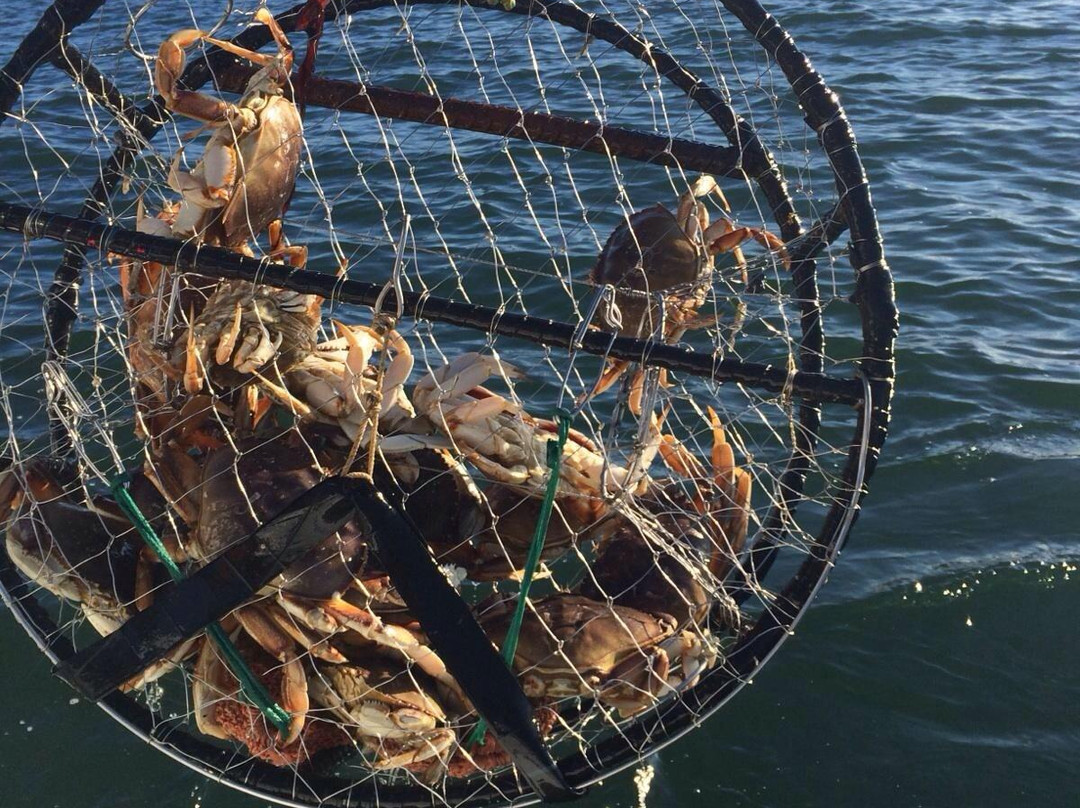 Pacific City Fishing-太平洋城必去景点