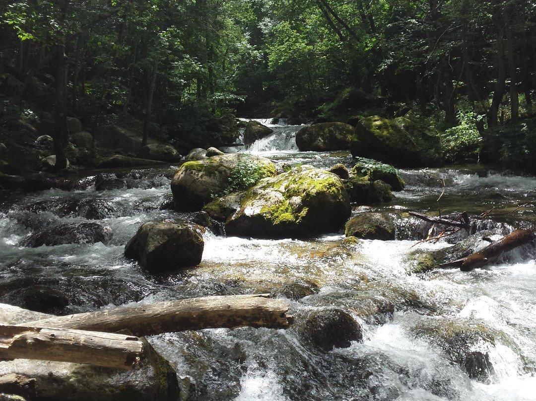 Gorges de Carança景点图片