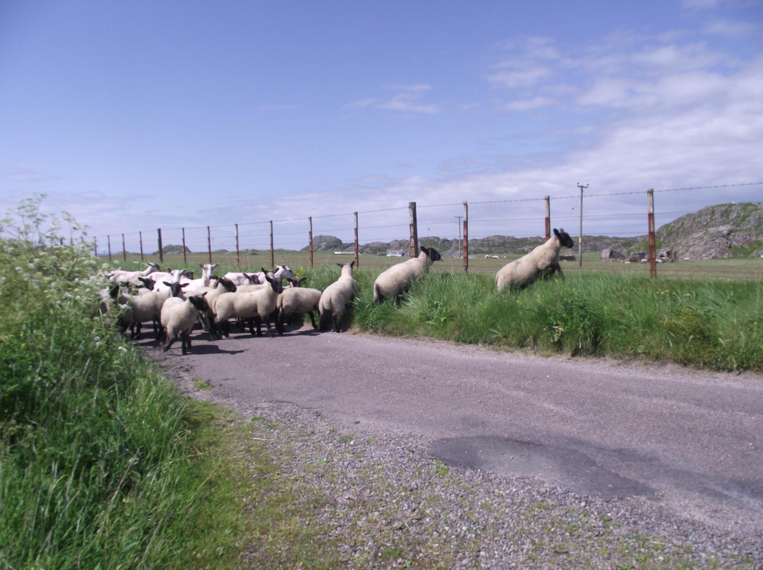 Machair-Isle of Iona必去景点