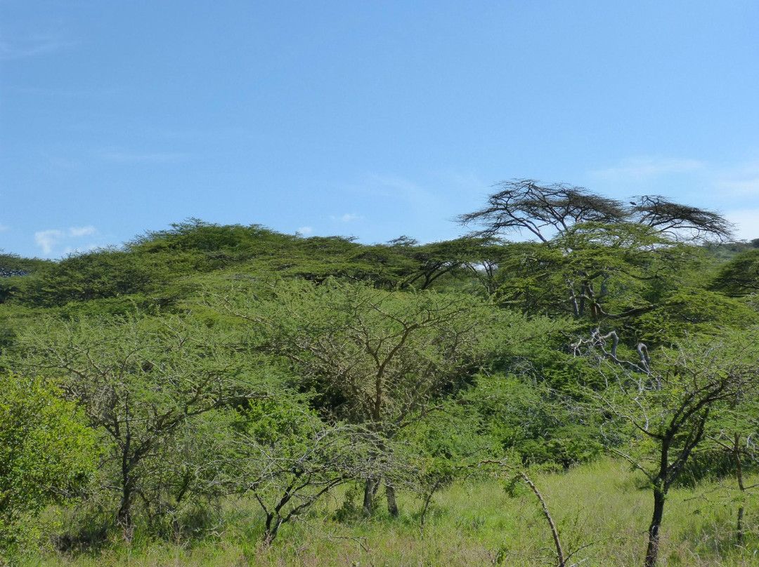 Maanzoni Sanctuary-Machakos必去景点