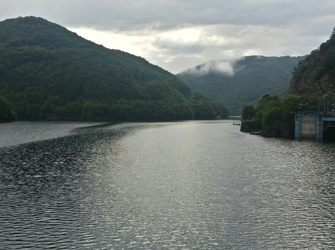 Tarnita Lake景点图片