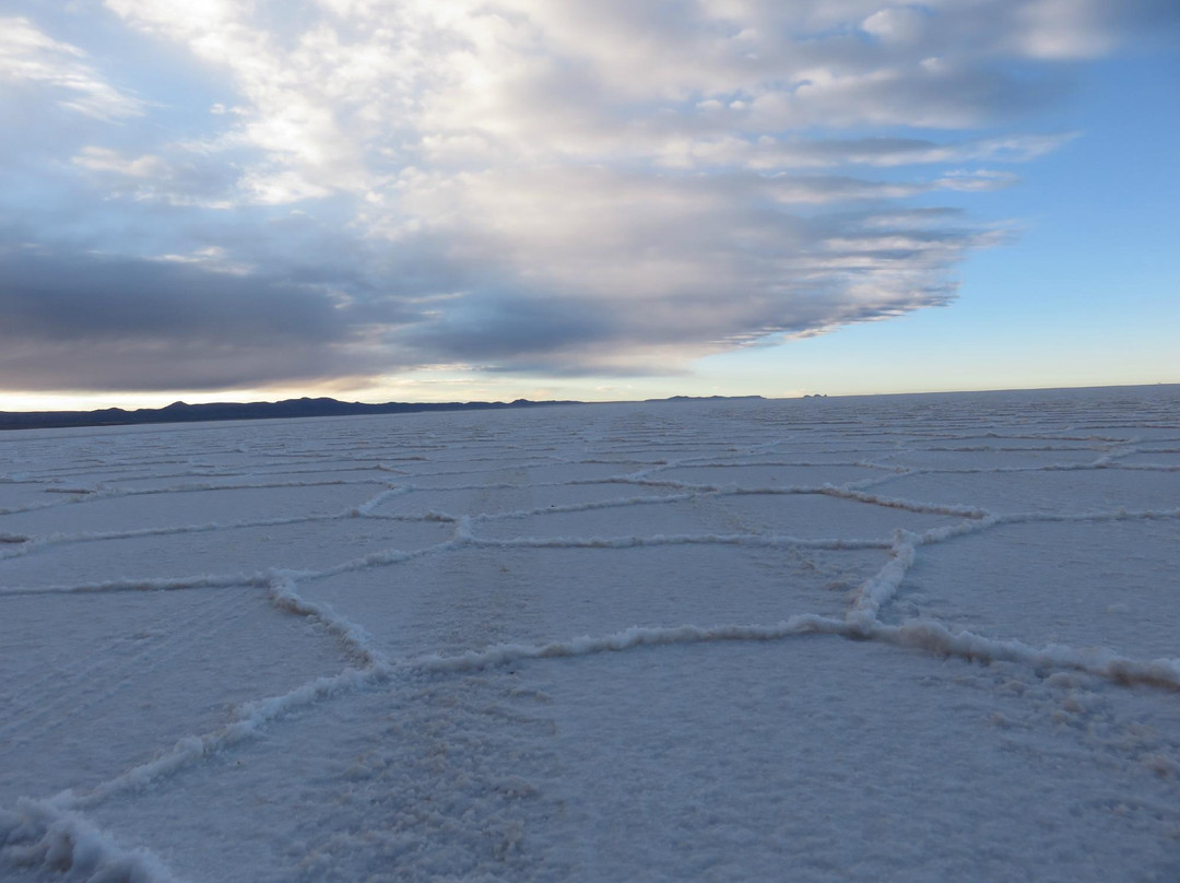 Salt Flats Uyuni Expedition -Day Tour景点图片