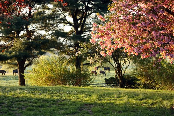 Miracles Day Spa-Wallkill必去景点