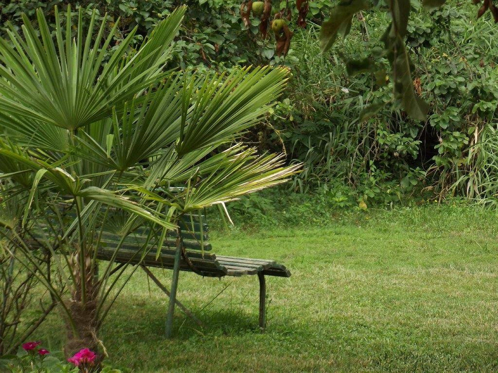 Le Petit Fidèle主图