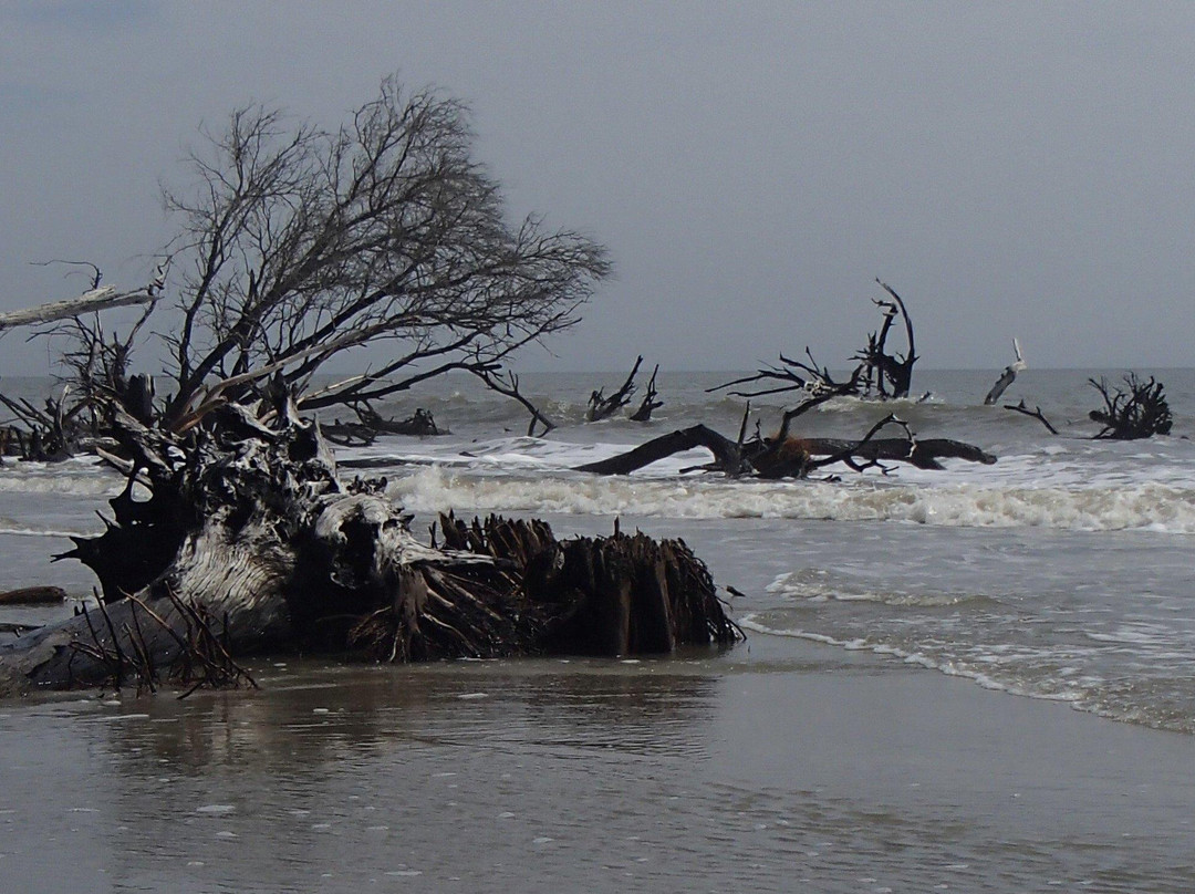 Bulls Island Ferry-Awendaw必去景点